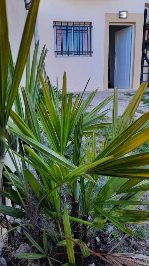 Depto. Cedelu Apartment Concepcion del Uruguay Exterior photo